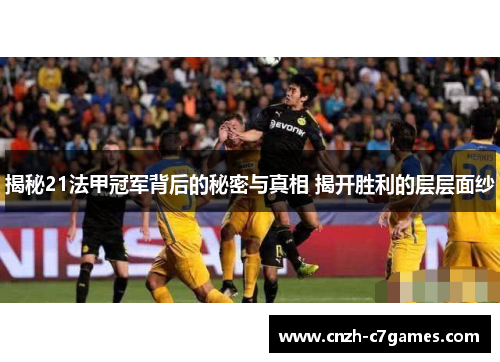 揭秘21法甲冠军背后的秘密与真相 揭开胜利的层层面纱